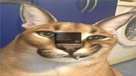 CS_S v34 ClientMod 26.09.2025 20_14_36.png